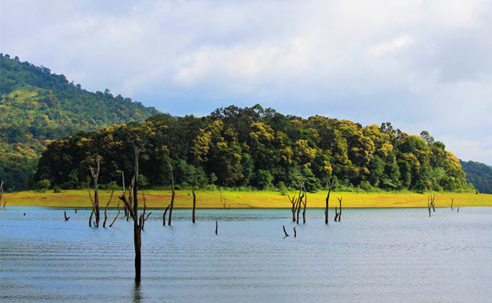 Thekkady